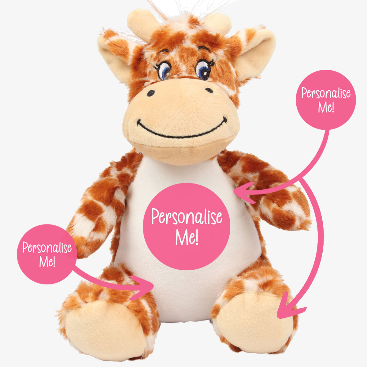 Personalised Teddy Bear with Photo & Message