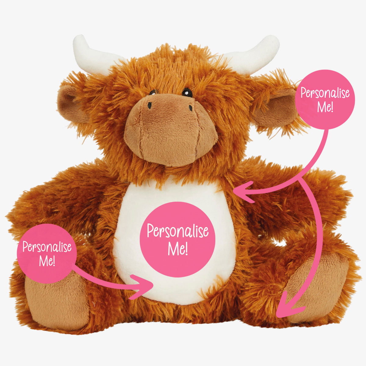 Personalised Teddy Bear with Photo & Message